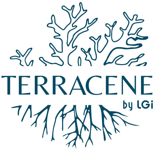 Terracene Logo.